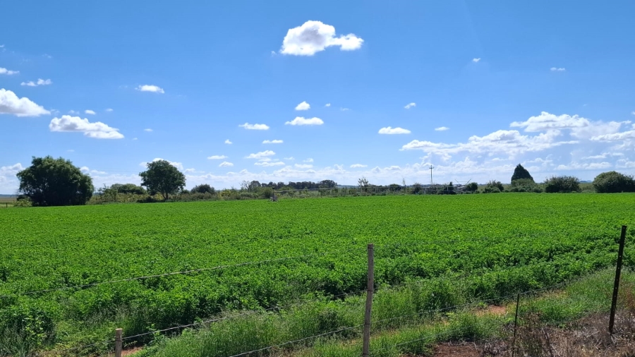  Bedroom Property for Sale in Bloemfontein Rural Free State